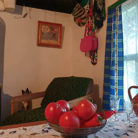 Pensiune Art House