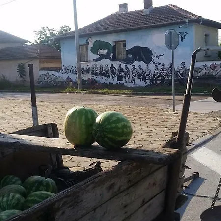 Pensiune Art House